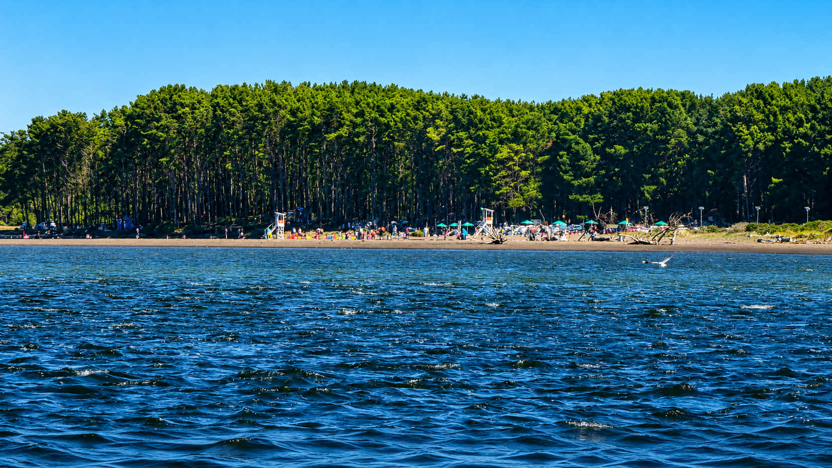 Balneario los pinos 3